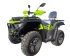 Квадроцикл YAQI 300cc, 4х4WD, с лебедкой, кикстартер