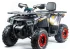 Квадроцикл TAO MOTOR ATV 200 Квадроцикл TAO MOTOR ATV 200