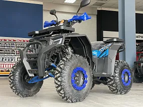Квадроцикл PROMAX TAURUS 300 Квадроцикл PROMAX TAURUS 300