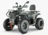 Квадроцикл YACOTA VIKING PRO 250 Квадроцикл YACOTA VIKING PRO 250