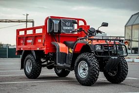 Квадроцикл CJ Termite 350 Квадроцикл CJ Termite 350