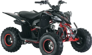Квадроцикл Mikilon Rapide 120